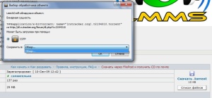 Окно скачивания торрент-файла в LeechCraft